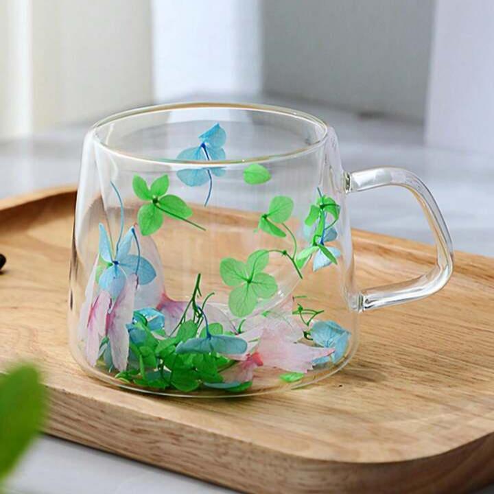 3 Tasses en Verre Floral Double Paroi 250ml – Parfaites pour Café